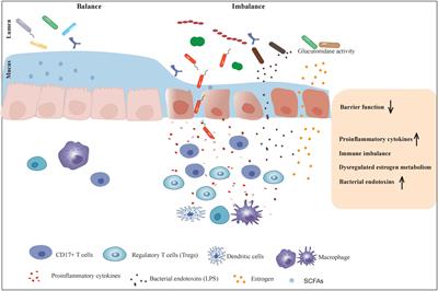 Unraveling the microbial puzzle: exploring the intricate role of gut microbiota in endometriosis pathogenesis